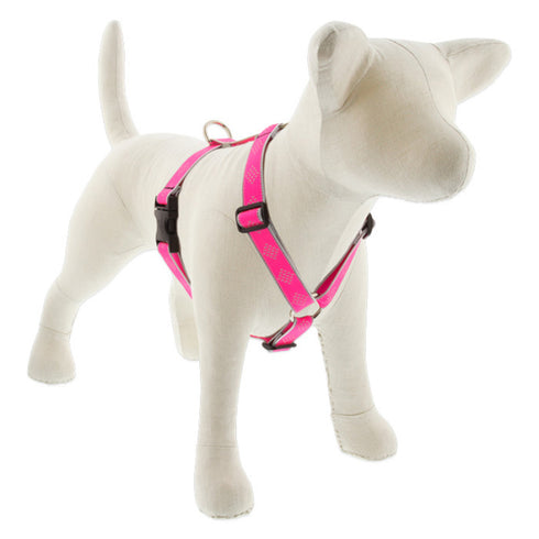 Lupine Reflective Roman Dog Harness 1" Wide 24"-38" Girth Pink Diamond - Poudre Pet and Feed Supply